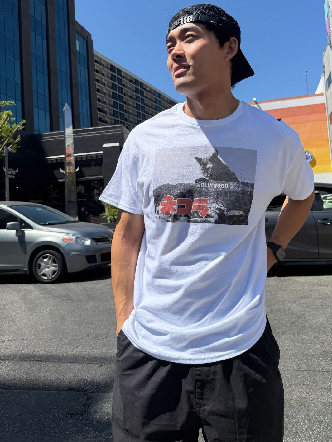 Popkiller Artist Series Kenji Mera Hollywood Meow Classic T-shirt