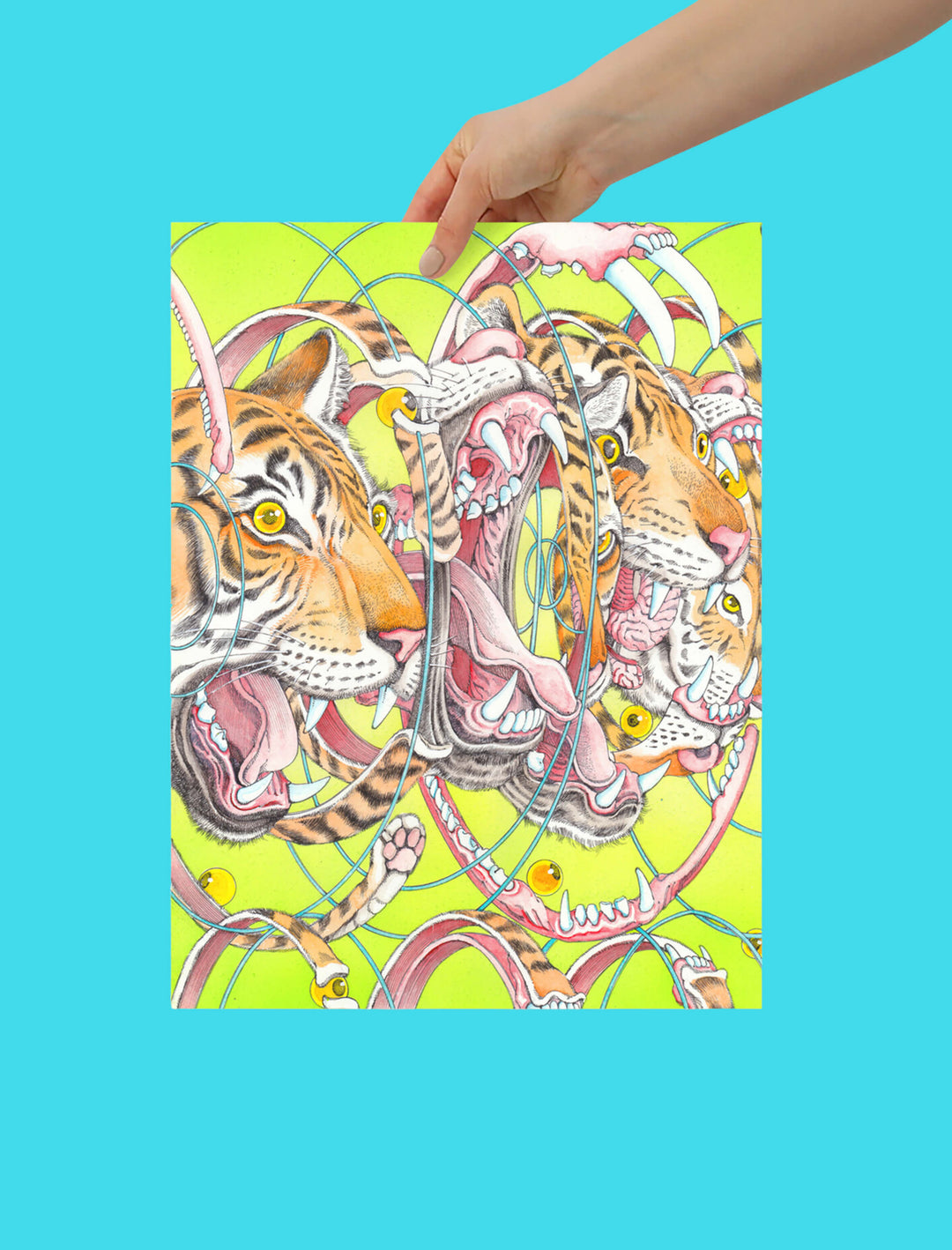 Popkiller Artist Series Shintaro Kago Tiger Factorization Poster
